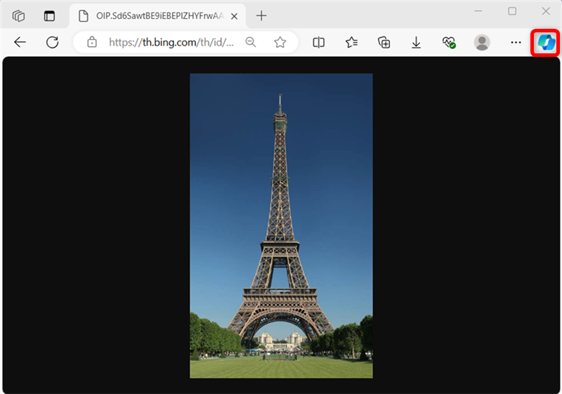 【Microsoft Edge】Copilotの使い方とできることまとめ｜無効化する方法もMicrosoft Edgeで画像を表示し、画面右上のCopilotのボタンを選択する 