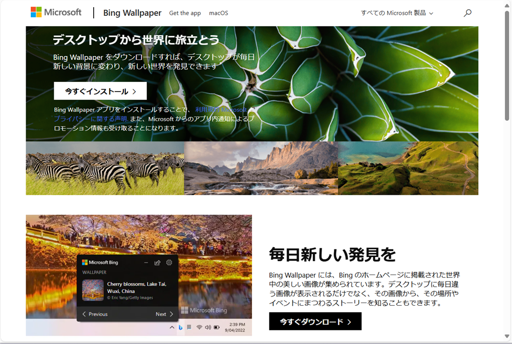 Bing Wallpaperで今日の壁紙を設定する方法｜壁紙の保存場所もBing Wallpaperの公式サイトにアクセスします。 