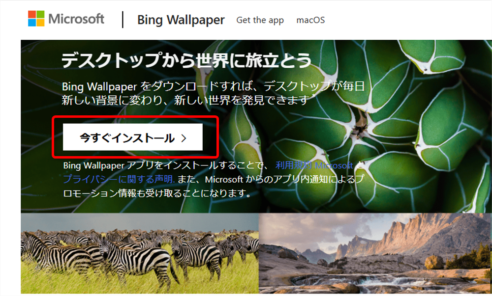 Bing Wallpaperで今日の壁紙を設定する方法｜壁紙の保存場所も画面右上にある「今すぐインストール」を選択します。 