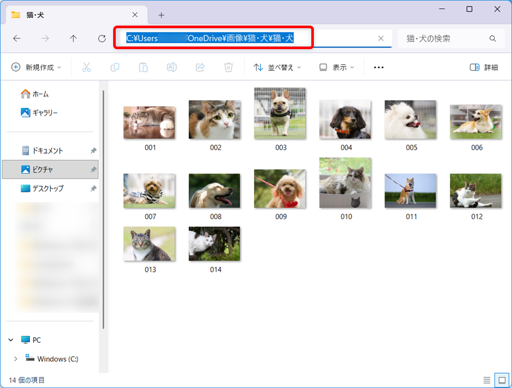 【Windows 11】エクスプローラーのアドレスバーはどこ？ショートカットで表示する方法もアドレス（フルパス）が表示されます。 