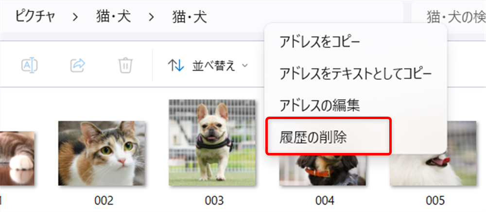 【Windows 11】エクスプローラーのアドレスバーはどこ？ショートカットで表示する方法も履歴の削除を選択します。 