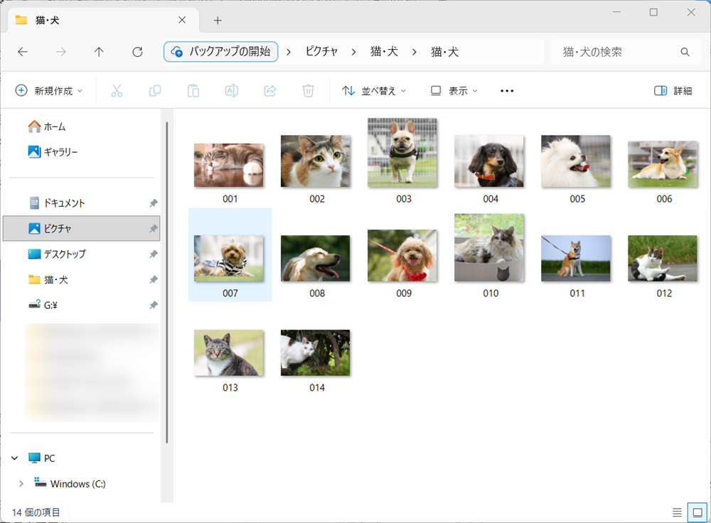 【Windows 11】エクスプローラーの表示を固定する設定｜文書は詳細表示に固定がおすすめ表示を固定したいフォルダーを開きます。 
