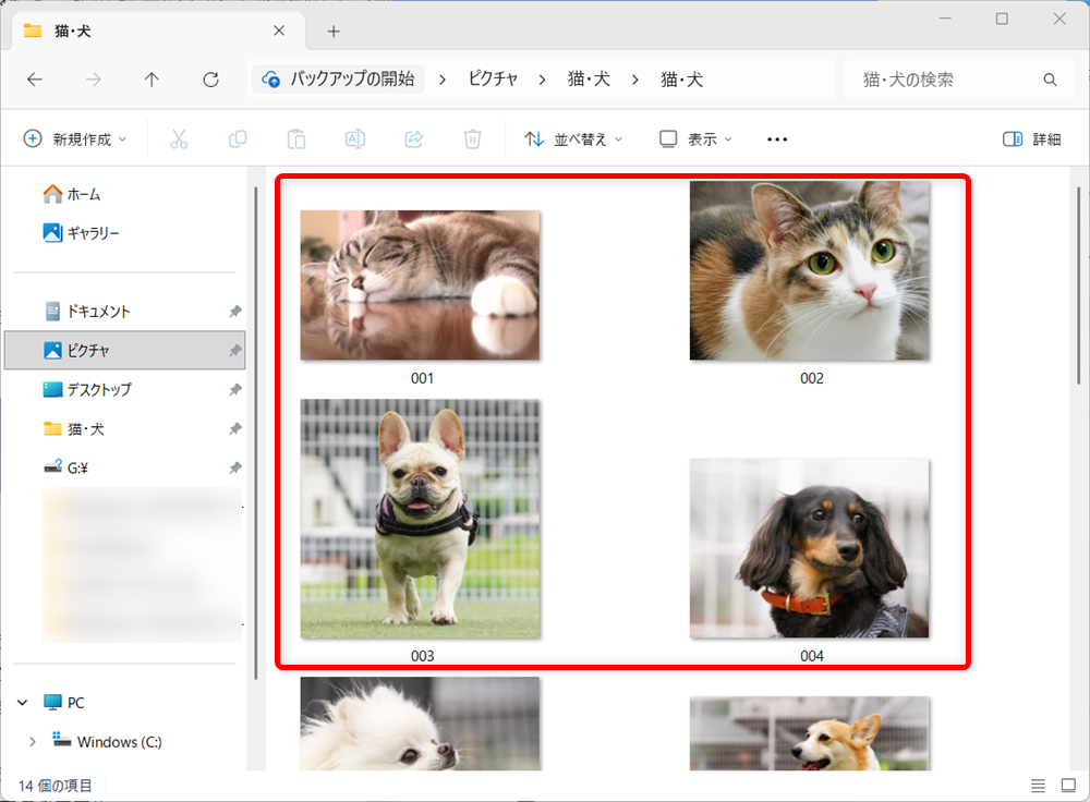 【Windows 11】エクスプローラーの表示を固定する設定｜文書は詳細表示に固定がおすすめ先程よりも、写真のサイズが大きくなったことがわかります。 