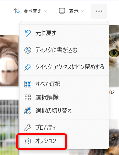 【Windows 11】エクスプローラーの表示を固定する設定｜文書は詳細表示に固定がおすすめメニューの中から「オプション」を選択します。 