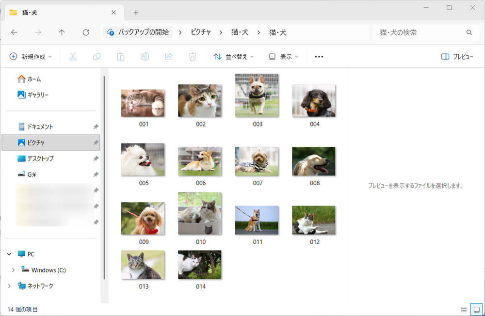 【Windows 11】エクスプローラーで写真のサムネイルが表示されないときの設定方法ファイルの中にどんな画像が入っているのか一目瞭然です。 