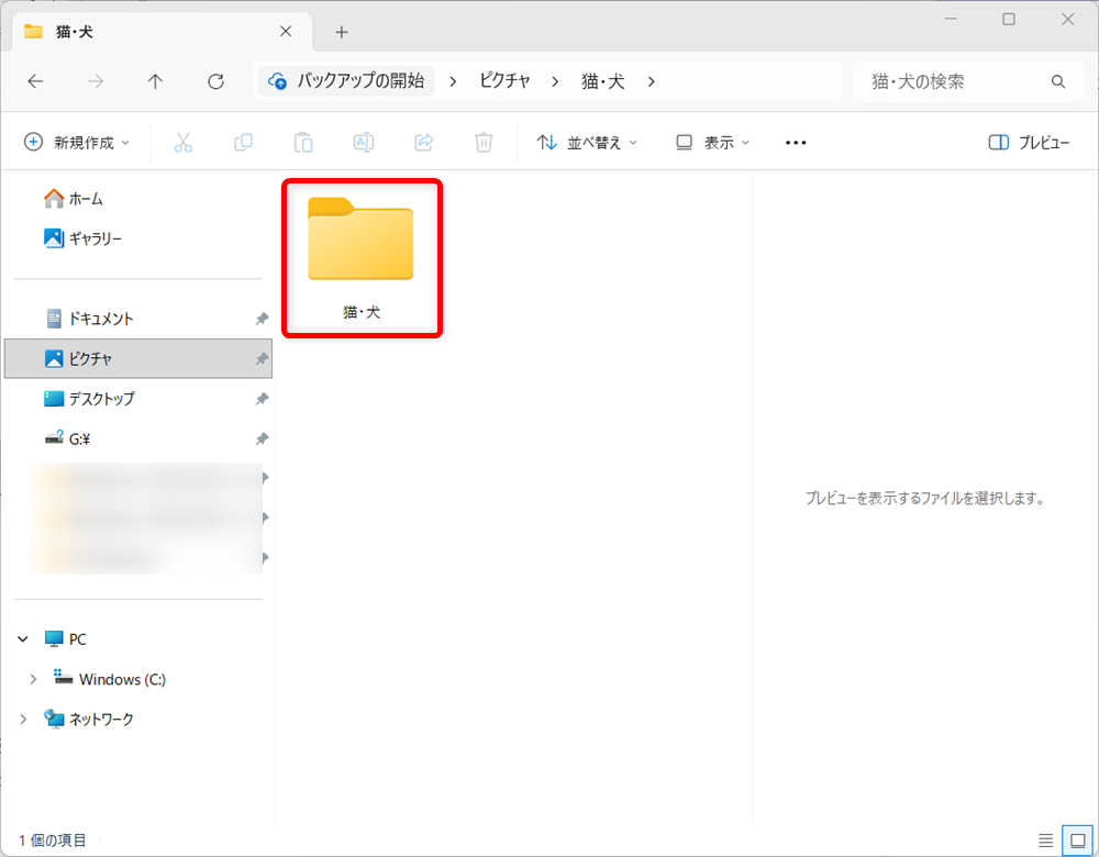 【Windows 11】エクスプローラーで写真のサムネイルが表示されないときの設定方法今回はこちらの「猫・犬」のフォルダーで試します。 