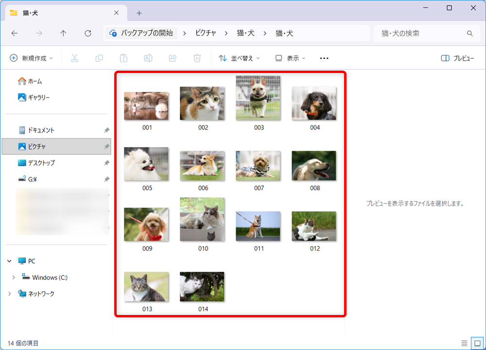 【Windows 11】エクスプローラーで写真のサムネイルが表示されないときの設定方法画面が切り替わり、縮小されたファイルが表示されます。 