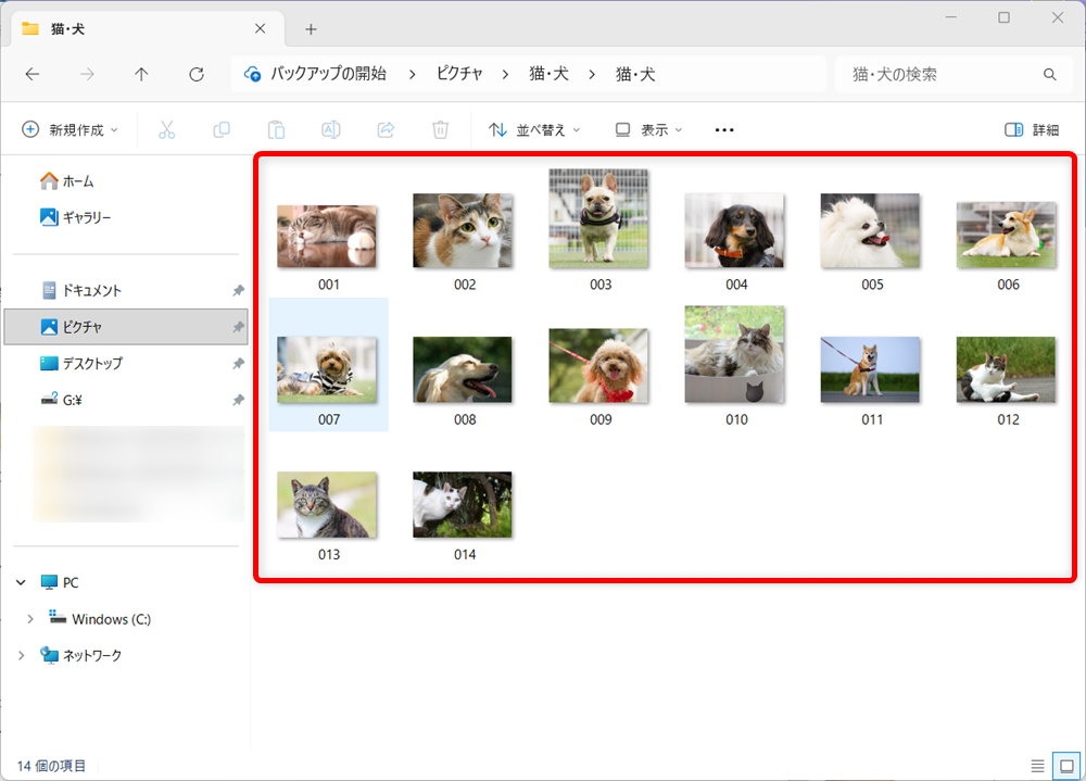 【Windows 11】エクスプローラーで写真のサムネイルが表示されないときの設定方法画面が切り替わり、ファイルが表示されます。 
