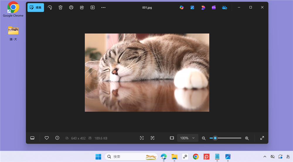 【Windows 11】全画面表示と解除する方法｜ショートカットで切り替え可能 今回は、こちらの猫の画像を全画面表示してみましょう。 